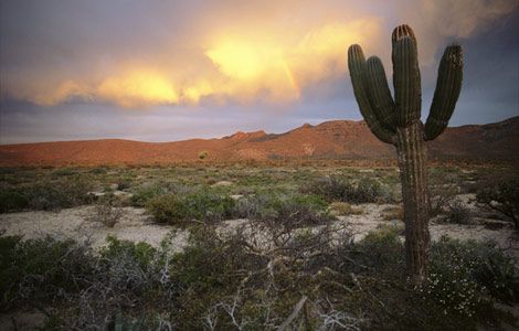 The future of Colorado?