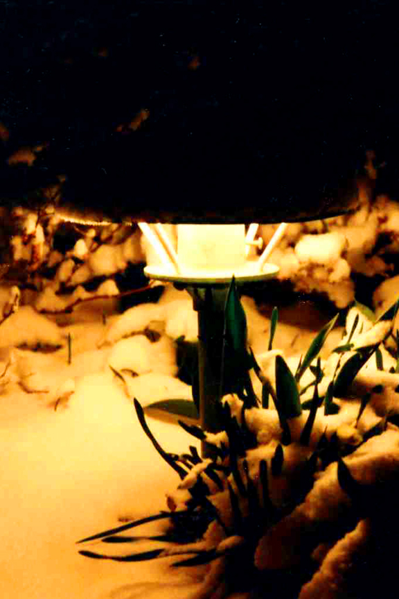 Winter Watering Tips for Colorado